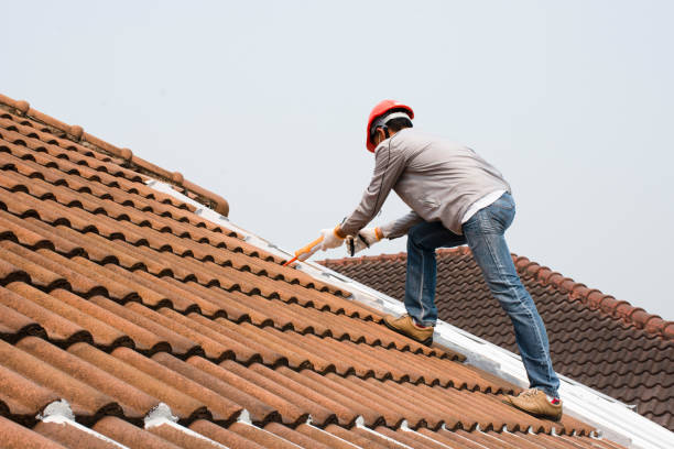 Best Roof Inspection  in USA